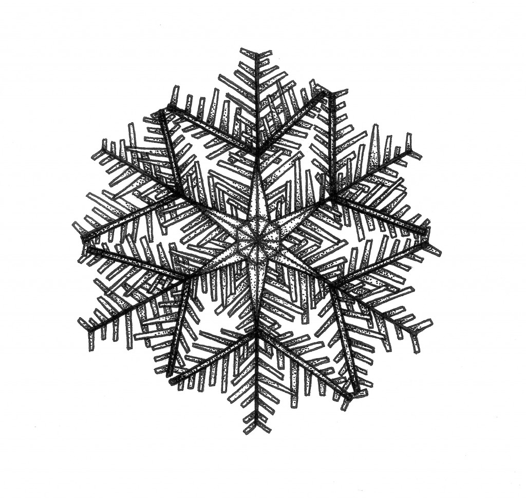 snowflake shards black and white mandala